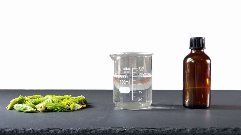 Pine buds tincture, photo 3