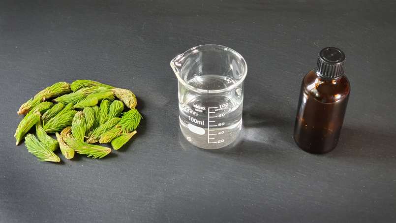 Pine buds tincture, photo 6