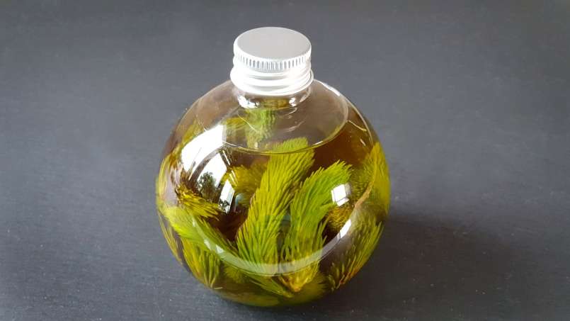 Pine buds oil, photo 6