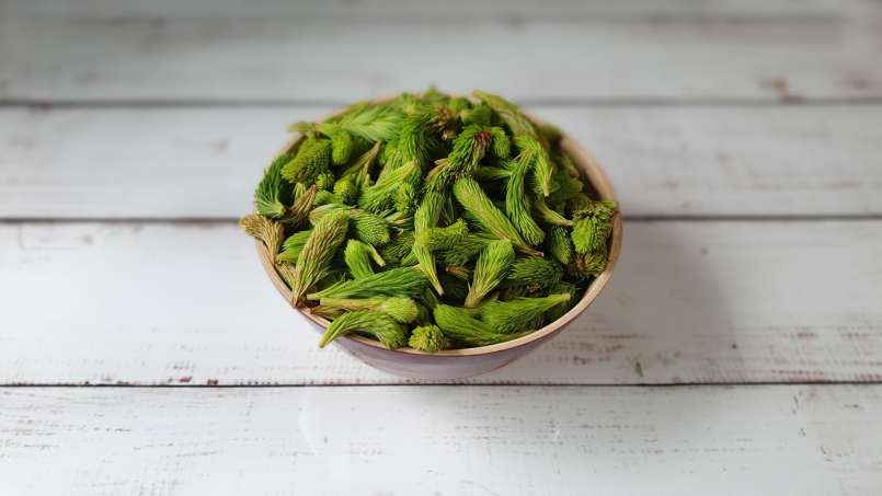 Pine buds macerate with honey, photo 2