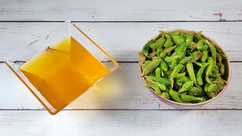 Pine buds macerate with honey, photo 3