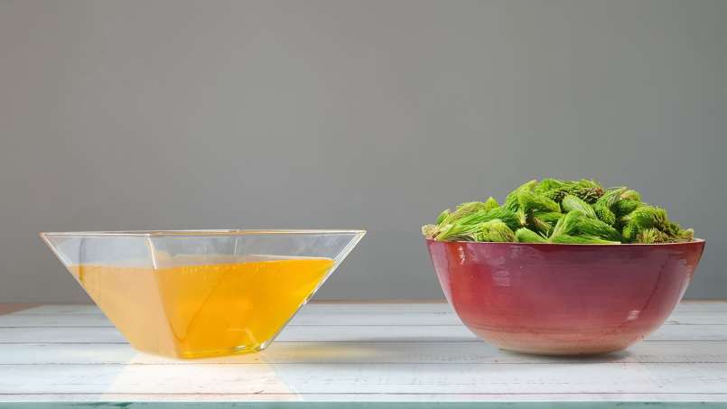 Pine buds macerate with honey, photo 4
