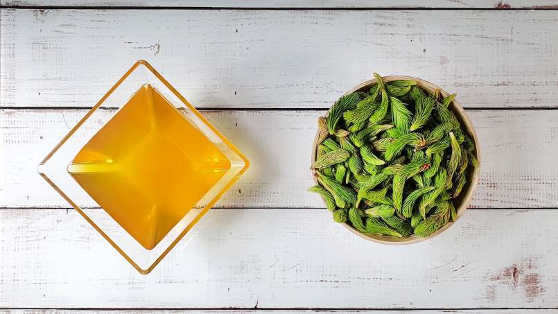 Pine buds macerate with honey, photo 5