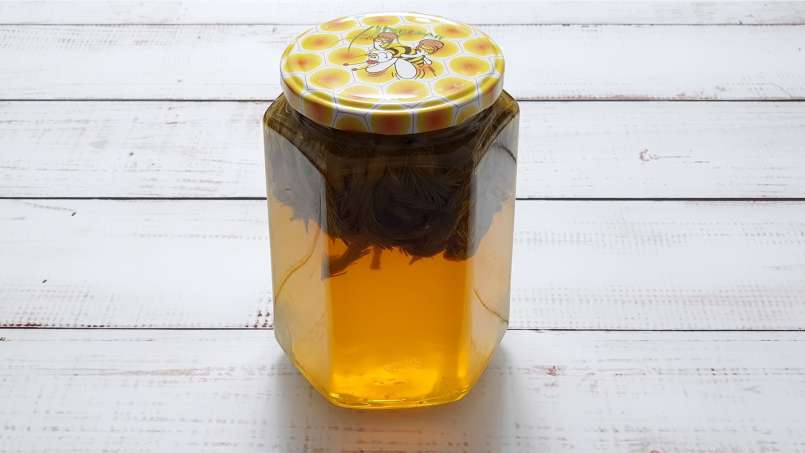 Pine buds macerate with honey, photo 14