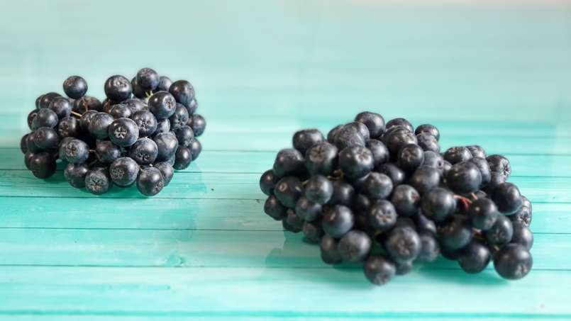 Aronia syrup with honey, photo 9