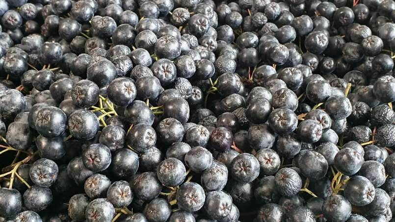 Aronia syrup with honey, photo 10