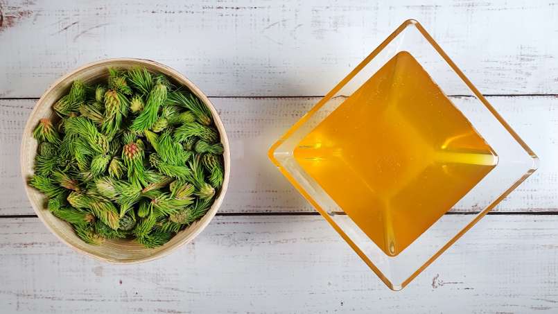 Pine cones-buds macerate with honey, photo 7