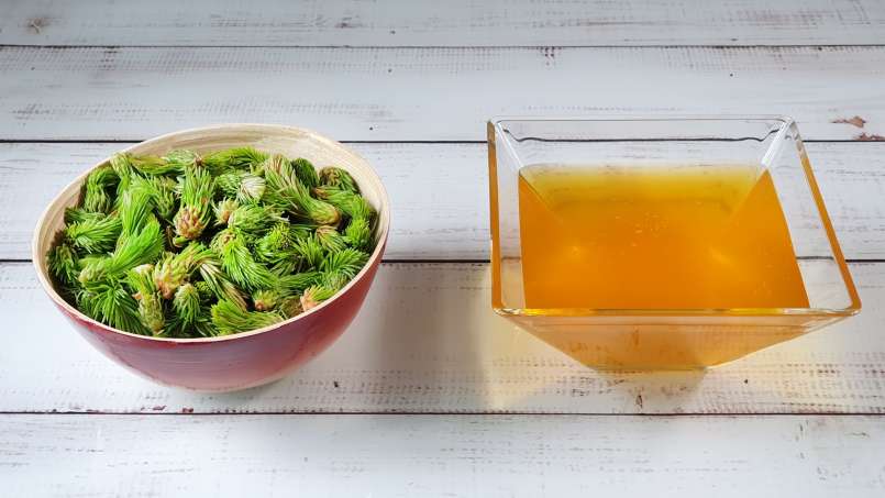 Pine cones-buds macerate with honey, photo 8