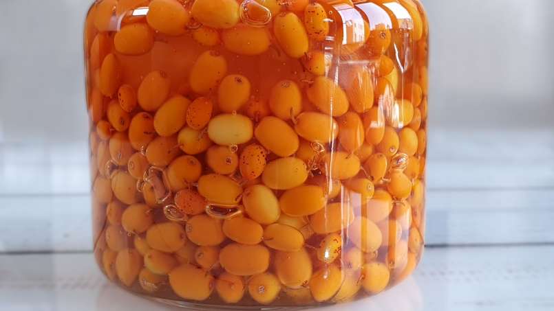 Macerate of sea buckthorn in honey, photo 5