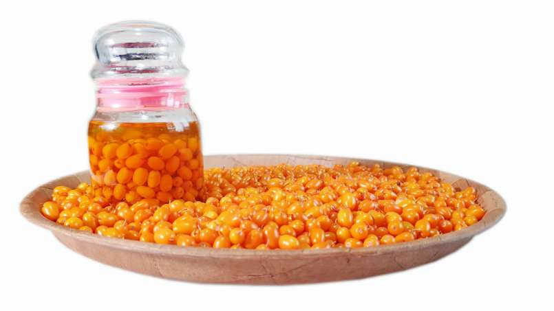 Sea buckthorn oil obtained by transfer, photo 6