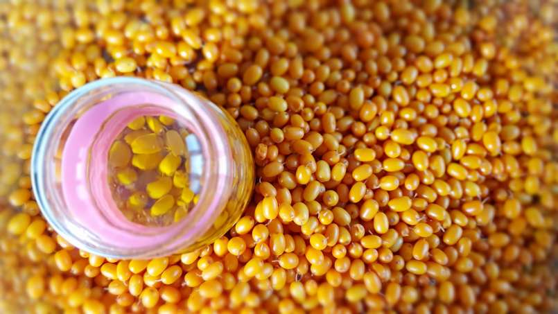 Sea buckthorn oil obtained by transfer, photo 7