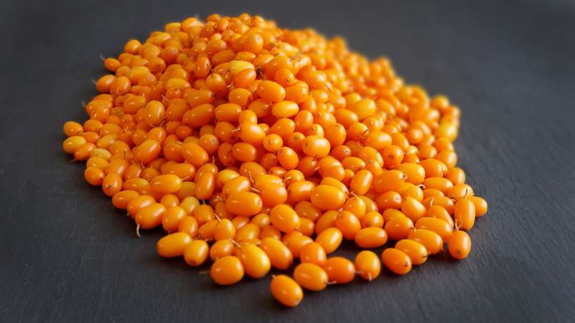 Sea Buckthorn macerate with ginger and honey, photo 4