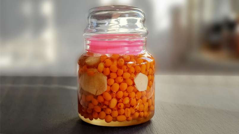 Sea Buckthorn macerate with ginger and honey, photo 7
