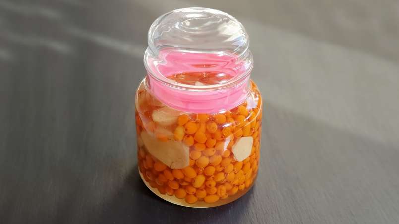Sea Buckthorn macerate with ginger and honey, photo 8