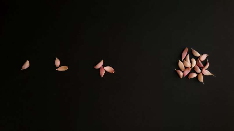 Cure with whole garlic cloves, photo 2