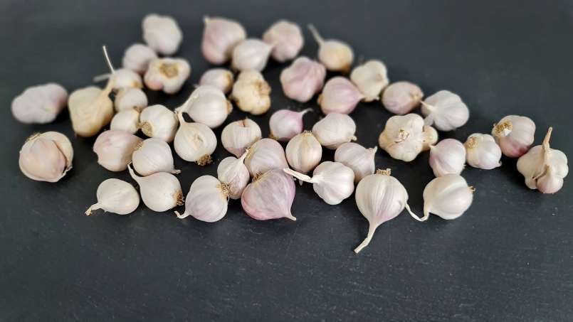 Cure with whole garlic cloves, photo 6