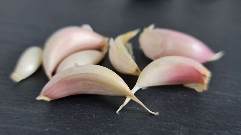 Cure with whole garlic cloves, photo 7
