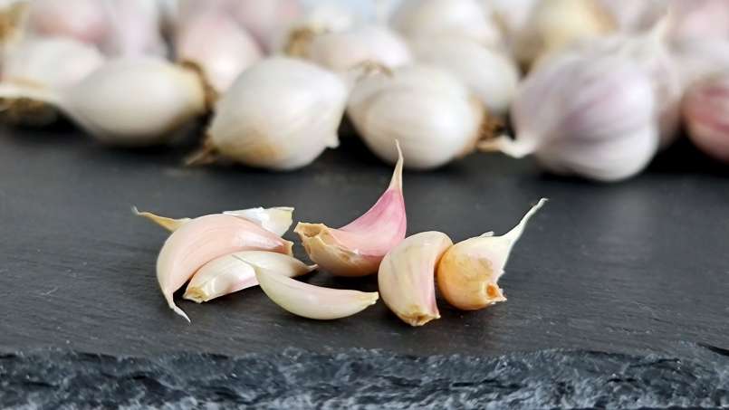 Cure with whole garlic cloves, photo 8