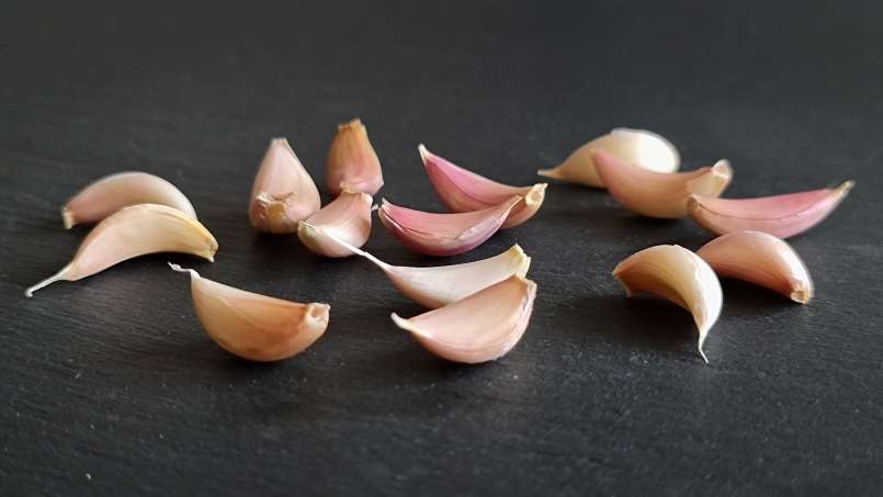Cure with whole garlic cloves, photo 11