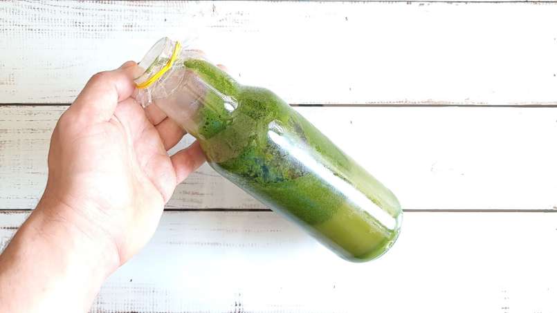 Juice of nettles with spinach, photo 3