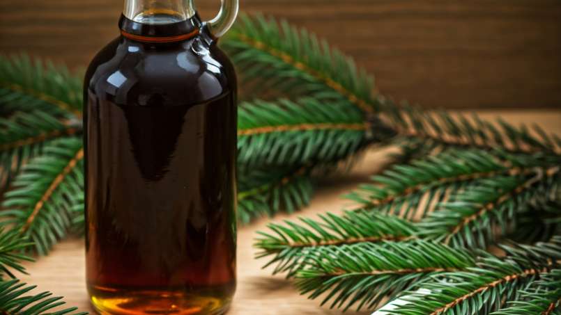 Fir bud syrup