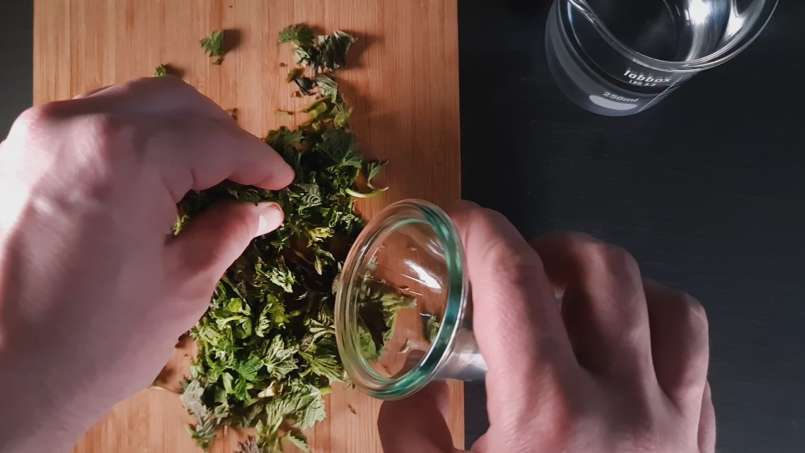 Nettle tincture, photo 2