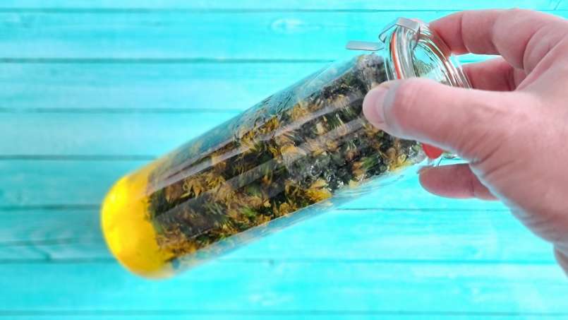 Macerate of DANDELION in HONEY, photo 2