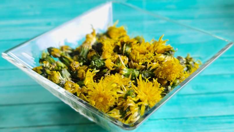 Macerate of DANDELION in HONEY, photo 7