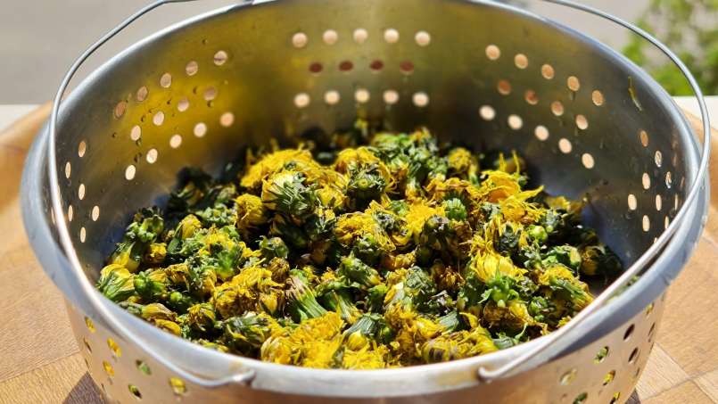 Macerate of DANDELION in HONEY, photo 13