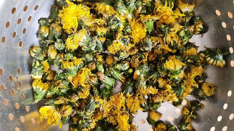 Macerate of DANDELION in HONEY, photo 16