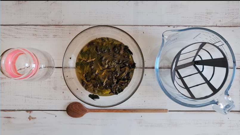 Nettle oil obtained by transfer and using bain-marie, photo 11