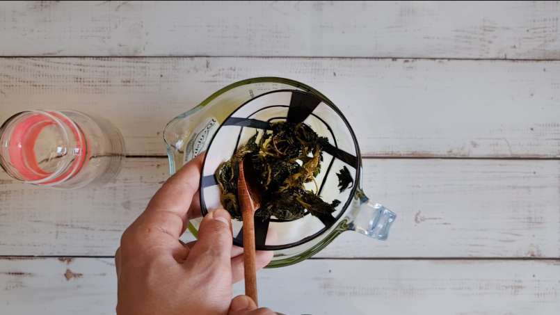 Nettle oil obtained by transfer and using bain-marie, photo 13