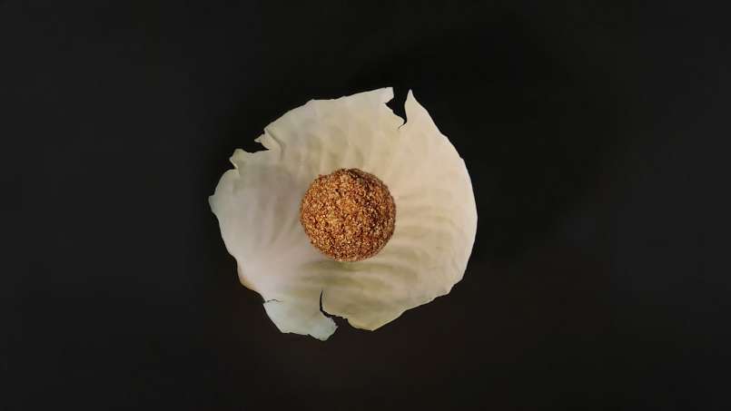 Poultice with cabbage leaves and borscht bran, photo 9