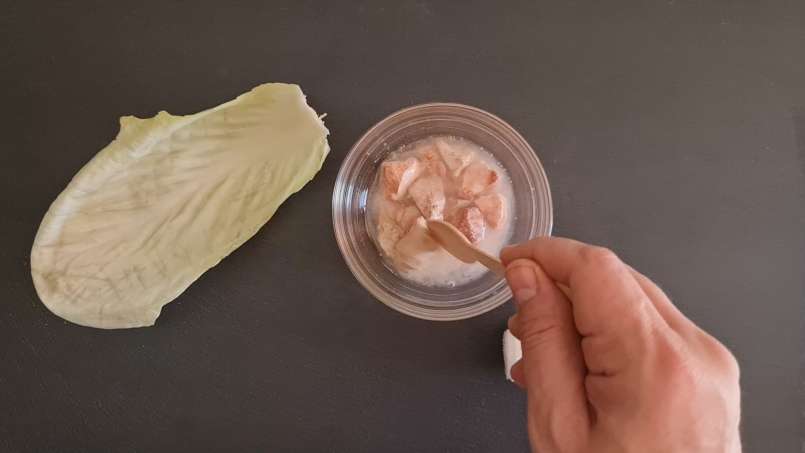 Poultice with clay and cabbage leaf, photo 2