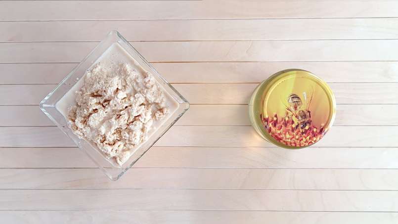 Apilarnil with honey (50%-50%), in ice packs, for the freezer, photo 4