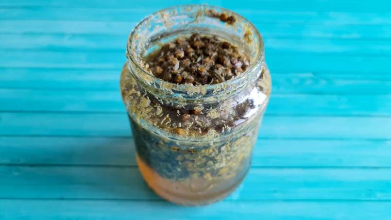 Chamomile infused in honey or chamomile honey, photo 2