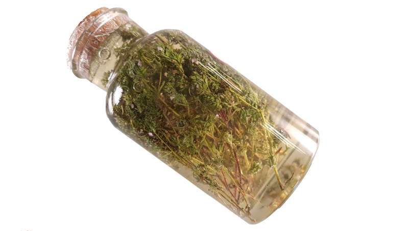 Macerate of thyme with honey, photo 4
