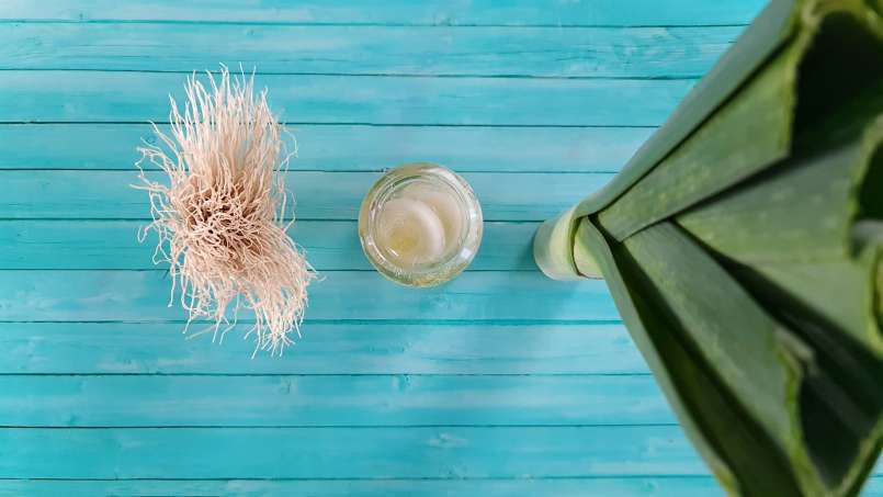 Leek syrup with honey, cold macerated, for bronchitis, photo 5