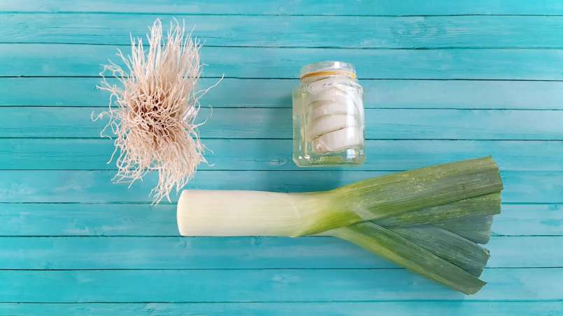 Leek syrup with honey, cold macerated, for bronchitis, photo 6