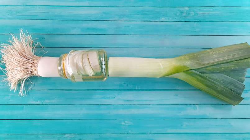 Leek syrup with honey, cold macerated, for bronchitis, photo 7