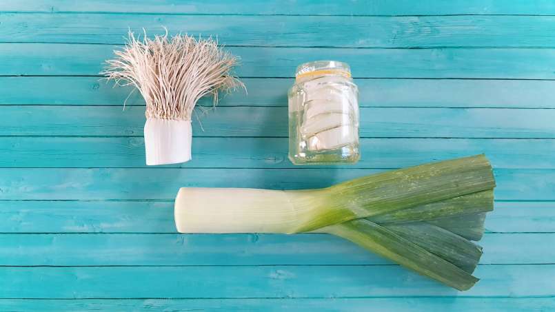Leek syrup with honey, cold macerated, for bronchitis, photo 8