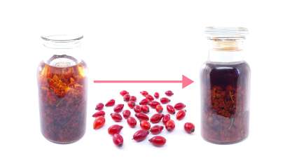Tincture of dried Rosehips in Alcohol