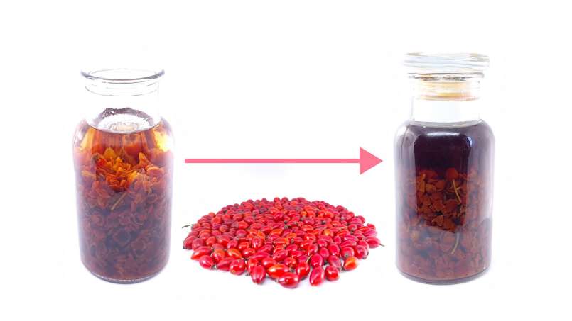 Tincture of dried Rosehips in Alcohol, photo 2