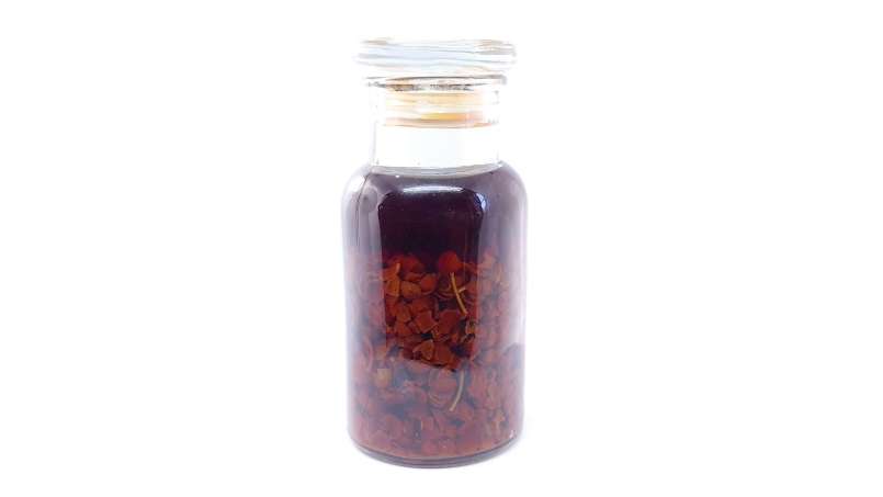 Tincture of dried Rosehips in Alcohol, photo 6