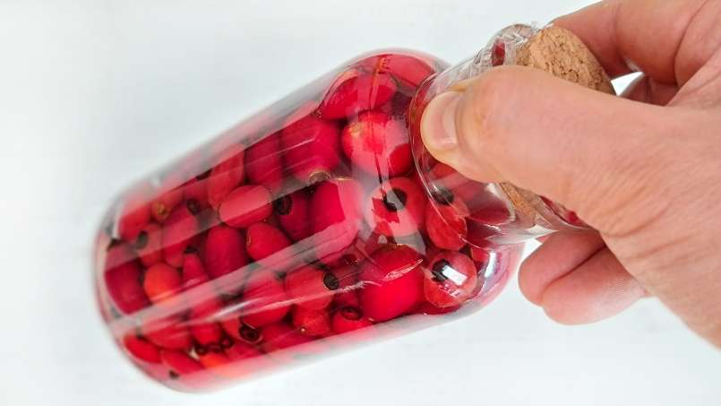 Tincture of fresh, whole rosehip fruit in alcohol, photo 2