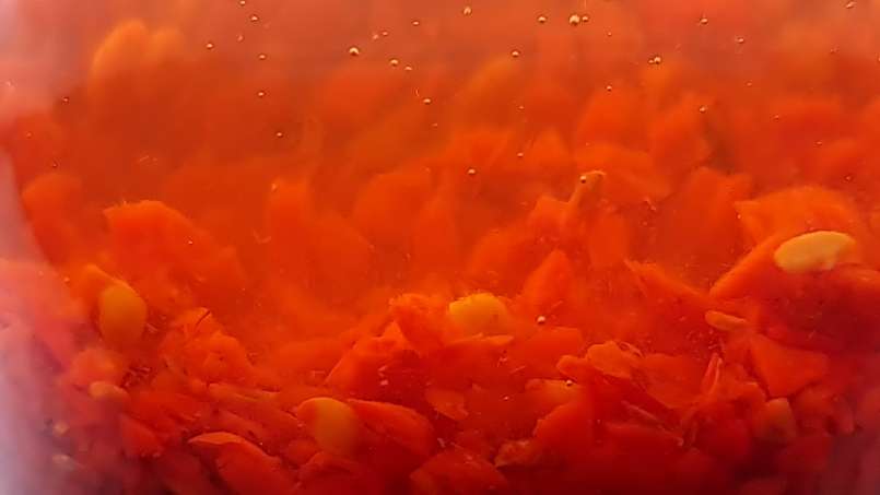 Tincture of fresh, grounded rosehips in alcohol, photo 5