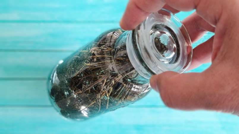 Thyme tincture, photo 4