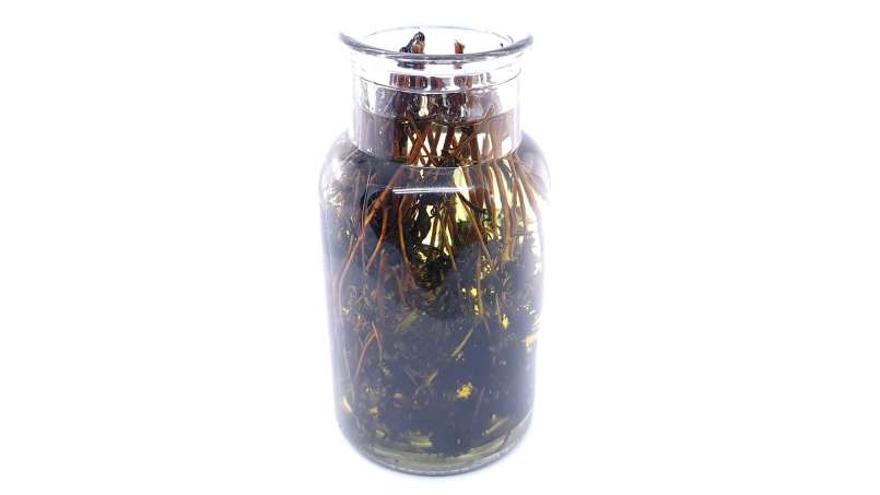Thyme tincture, photo 7