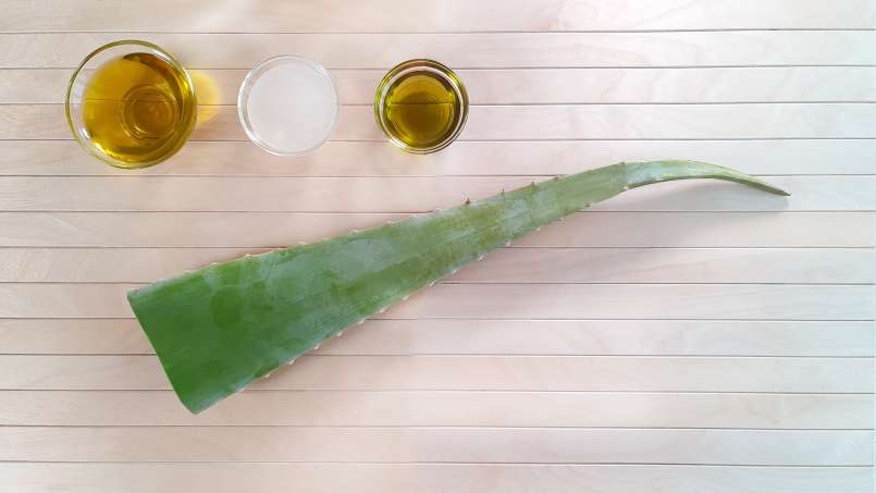 Aloe Vera cream with olive oil, grape seed oil and coconut oil, photo 2