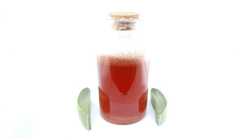 Tonic drink with aloe vera, wine and honey, photo 2
